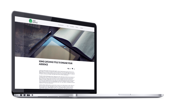 Blog post view